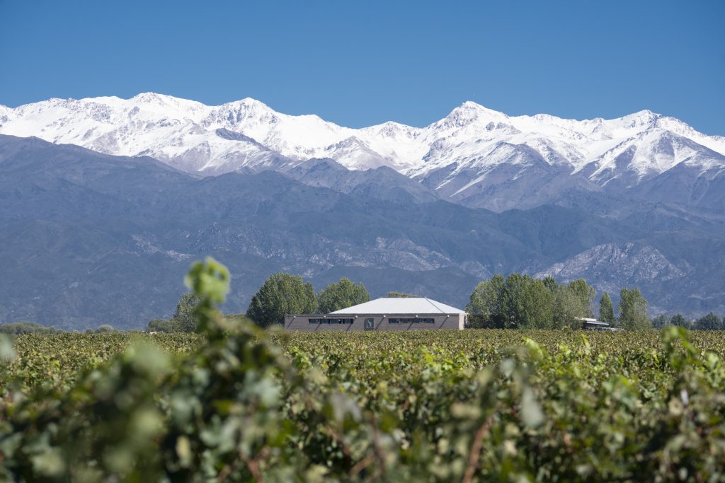 fotos empresas - Fotos viñas