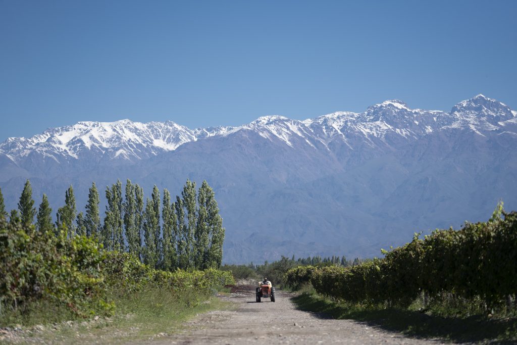 fotos empresas - Fotos viñas