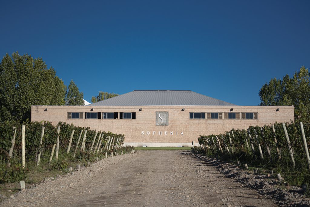 fotos empresas - Fotos viñas